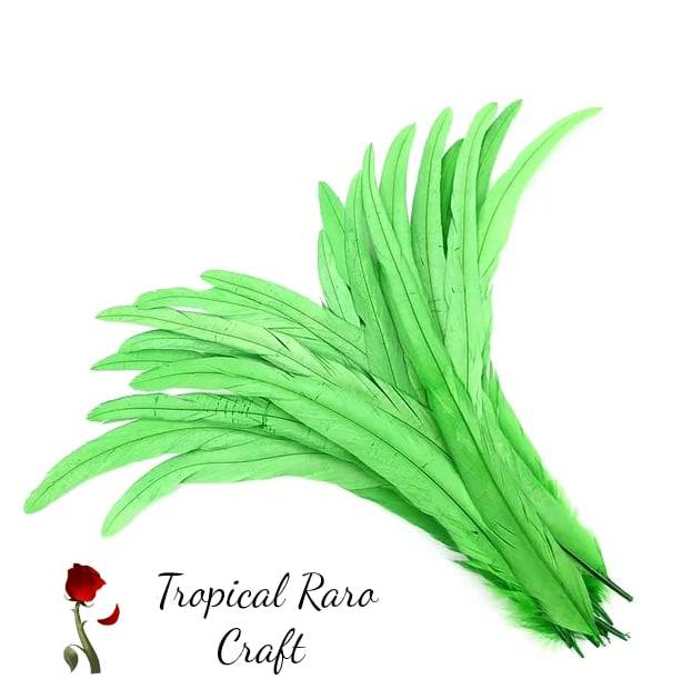 50pcs Lots ONE TONE COLORED Rooster Tail Feathers