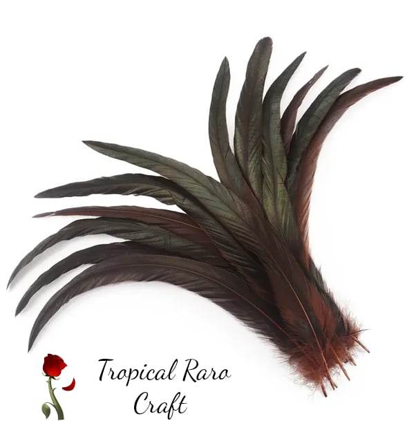 50pcs Lots ONE TONE COLORED Rooster Tail Feathers