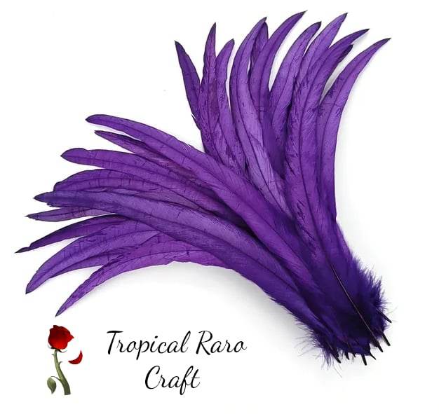 50pcs Lots ONE TONE COLORED Rooster Tail Feathers