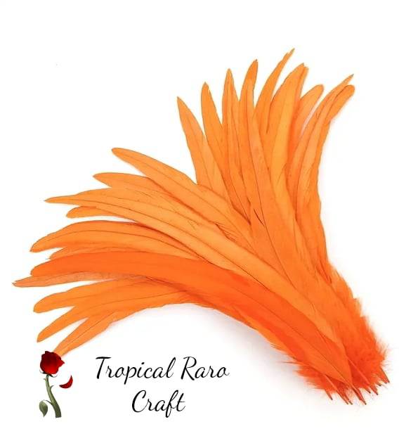 50pcs Lots ONE TONE COLORED Rooster Tail Feathers