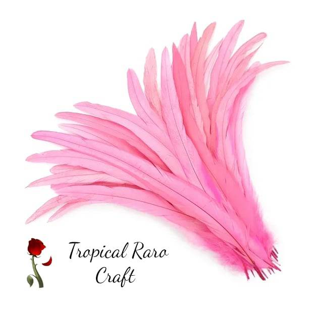 50pcs Lots ONE TONE COLORED Rooster Tail Feathers