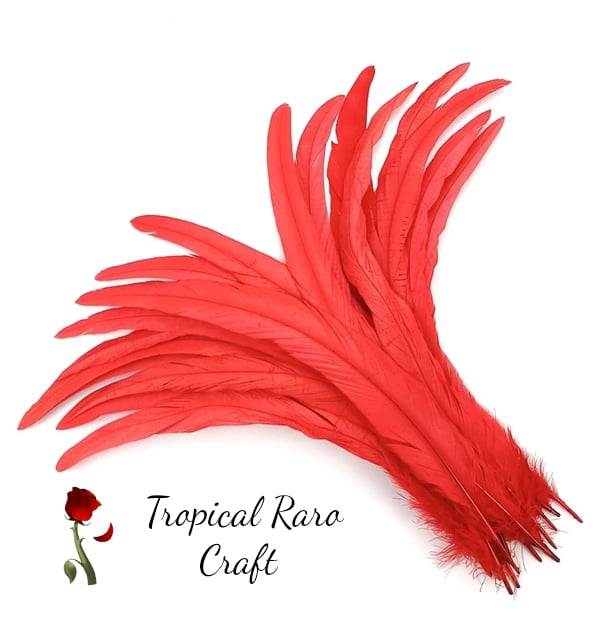 50pcs Lots ONE TONE COLORED Rooster Tail Feathers