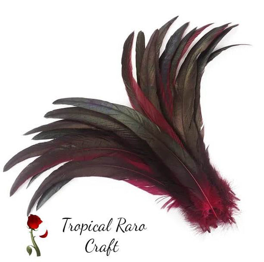 50pcs Lots TWO TONE COLORED Rooster Tail Feathers