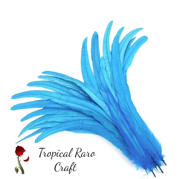 50pcs Lots ONE TONE COLORED Rooster Tail Feathers